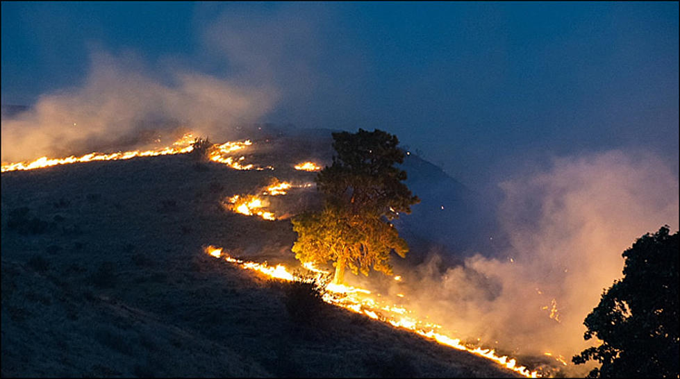 Firefighters Battles on the Cle Elum’s Taylor Bridge Wildfire