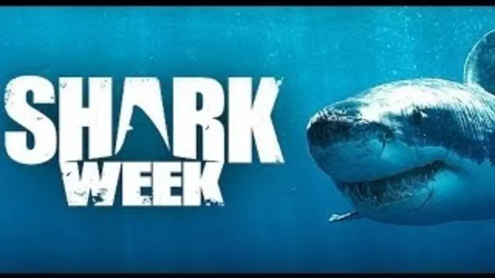 Hey Kids! It&#8217;s Shark Week!