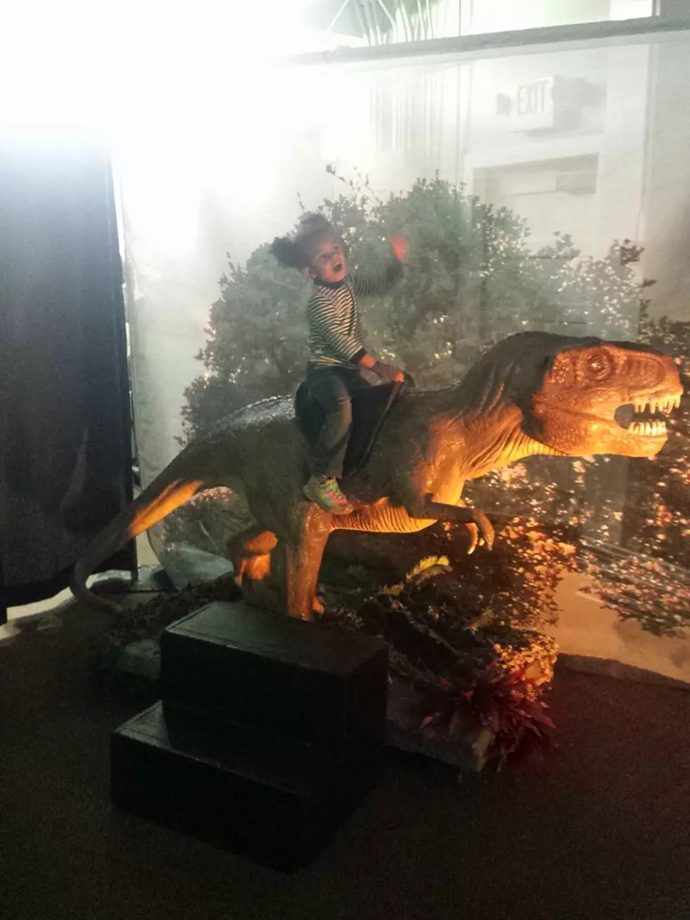 Is The Fair&#8217;s Dinosaur Exhibit Worth The $5 Entry Fee?