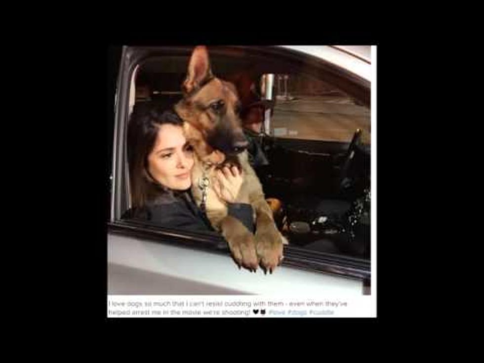 Salma Hayak mourns her dog