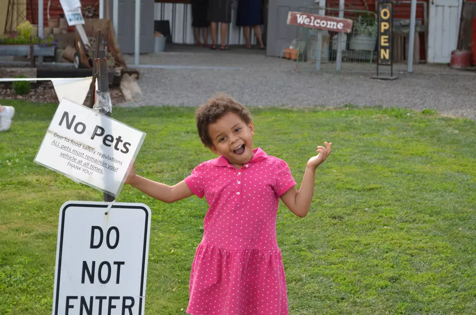 Hanging Out At A U-Pick Farm Is A Fun Family Activity [VIDEOS & PHOTOS]