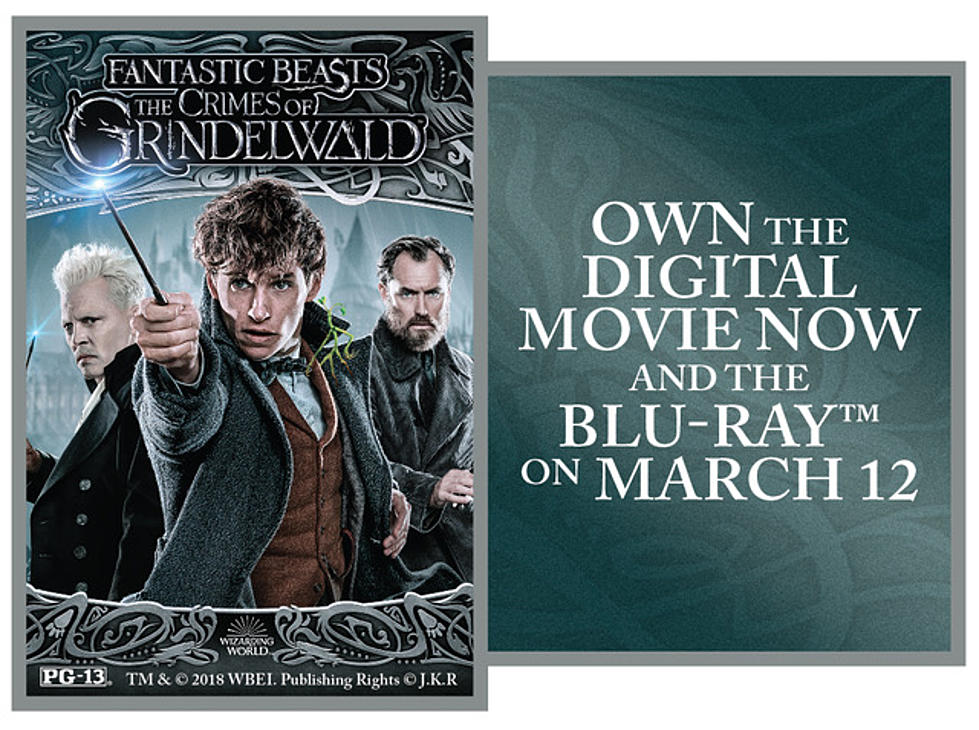 &#8216;Fantastic Beasts: The Crimes of Grindelwald&#8217; [Review]
