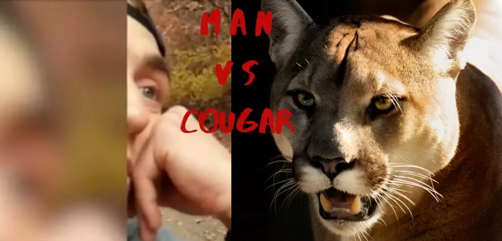 Man Gets Stalked by Cougar for Over Five Minutes