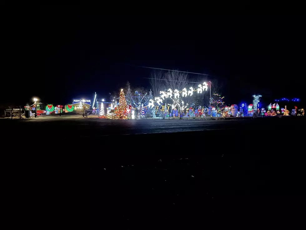 Light Up Yakima 2020 Entry # 8446