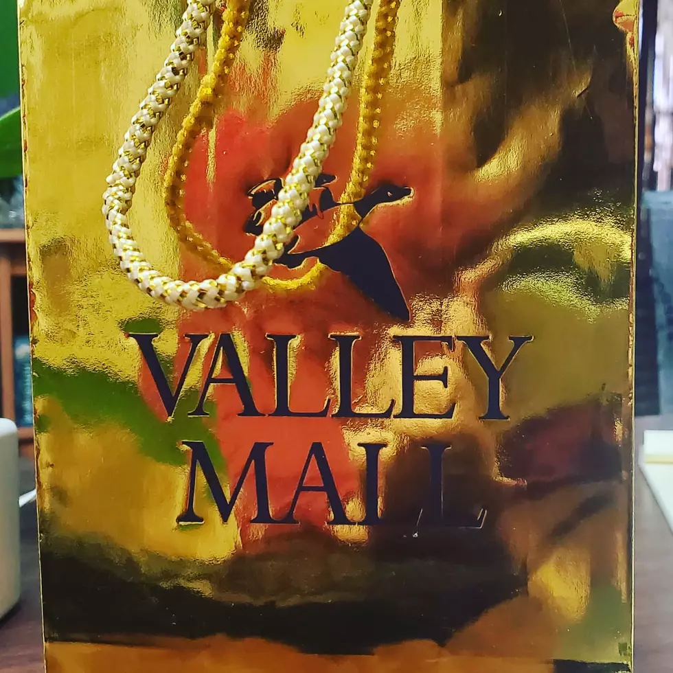 Funtastic Fridays with Valley Mall