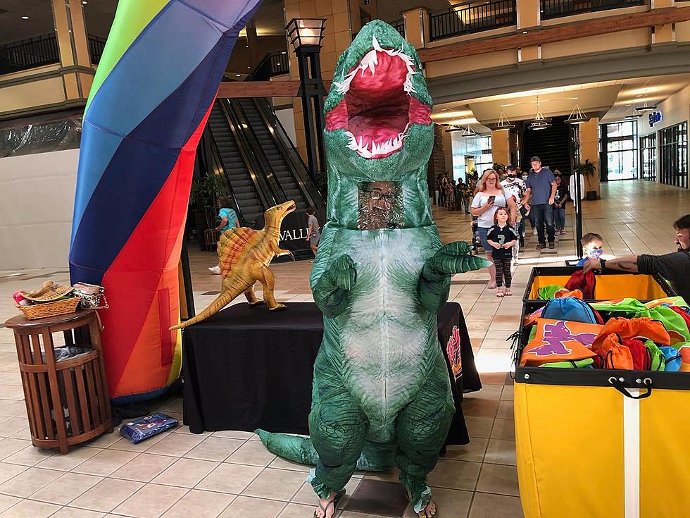 Kids Club at Valley Mall Was a Roaring Success Now Through August