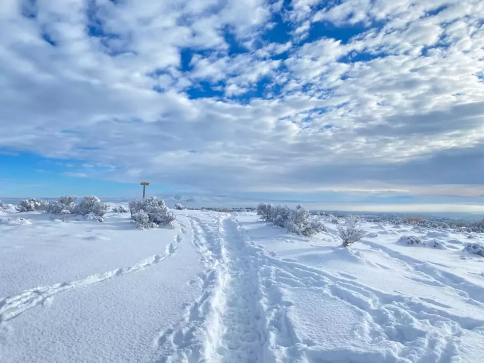 Curious If It Will Snow in the Yakima Valley on Thanksgiving?