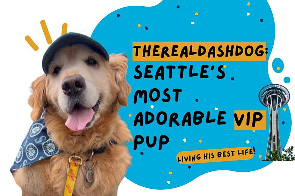Seattle&CloseCurlyQuote;s Most Adorable VIP Pup, Living His Best Life All Over WA