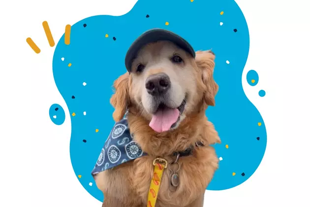 Seattle’s Most Adorable VIP Pup Is Living His Best Life All Over WA
