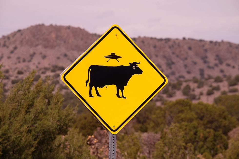 5 Weirdest Road Signs You Will See in Washington State [WEIRD]