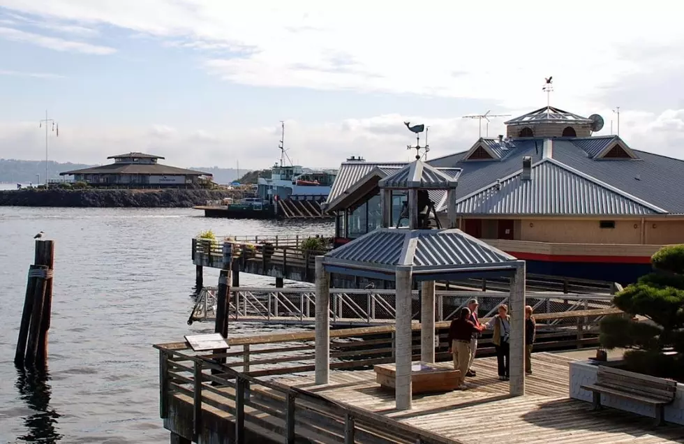 Point Defiance Marina in Tacoma, WA