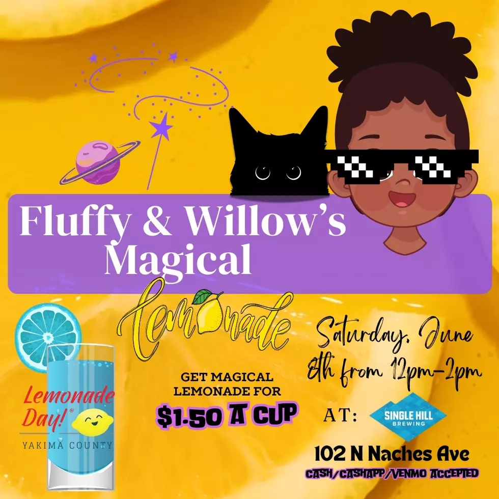 Fluffy & Willow's Magical Lemonade Day Poster