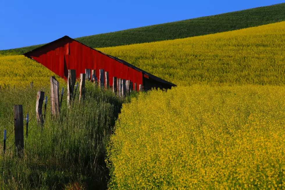Colfax WA