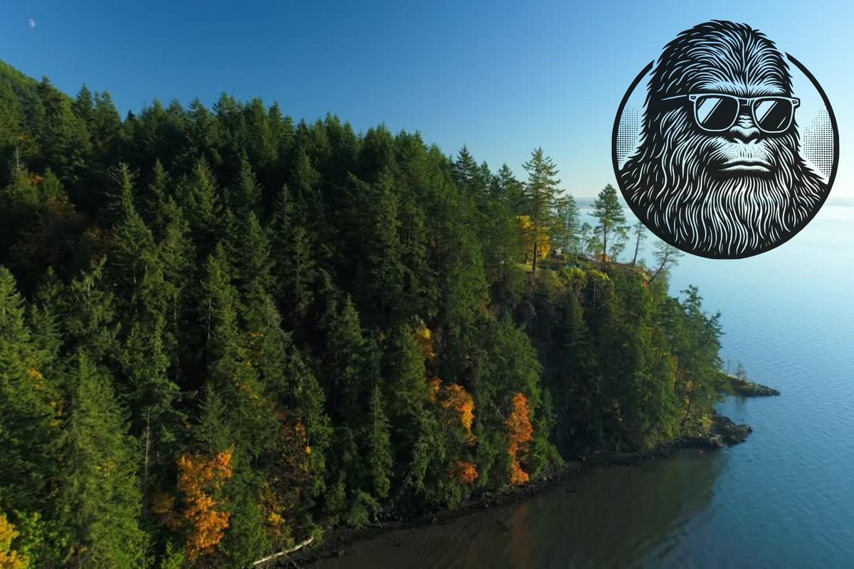 How Pacific Northwest Are You? Take This Fun Quiz