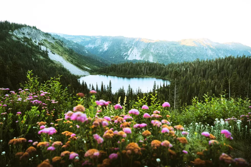 This Stunning WA Trail Near Mount Rainier Just Ranked Top 10 Most Picturesque in the U.S.