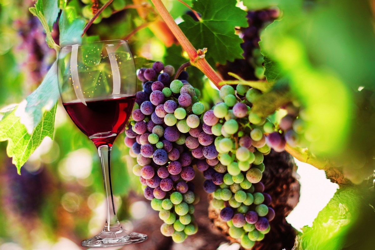 Washington Wines Outrank Napa Valley in Latest Market Survey