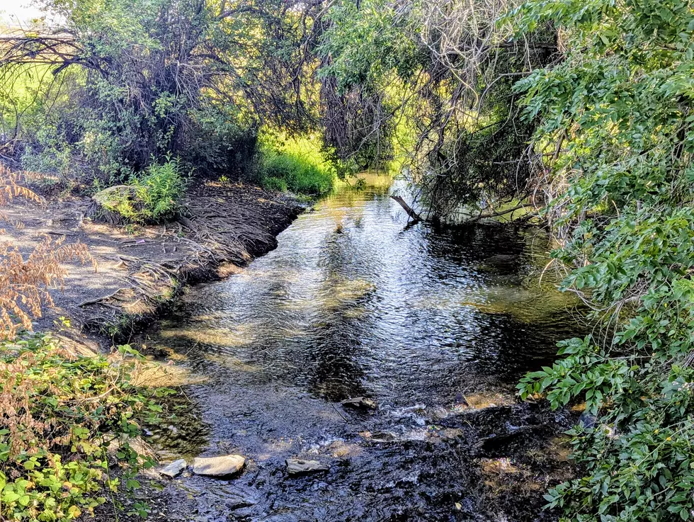 Fulbright Park in Union Gap, WA