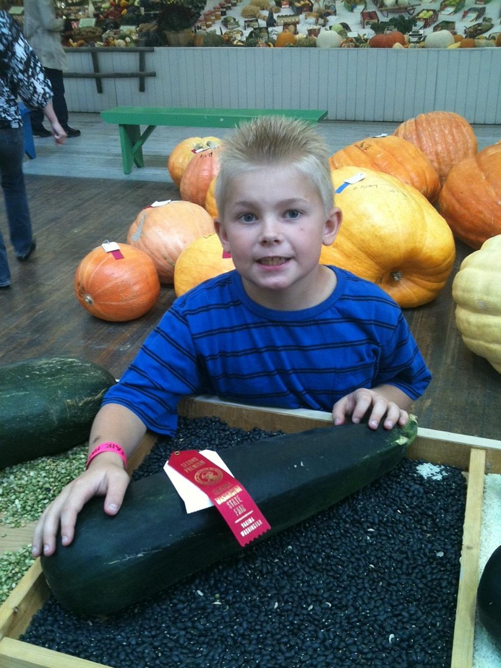 My Sons 10 Pound Zucchini at the Fair