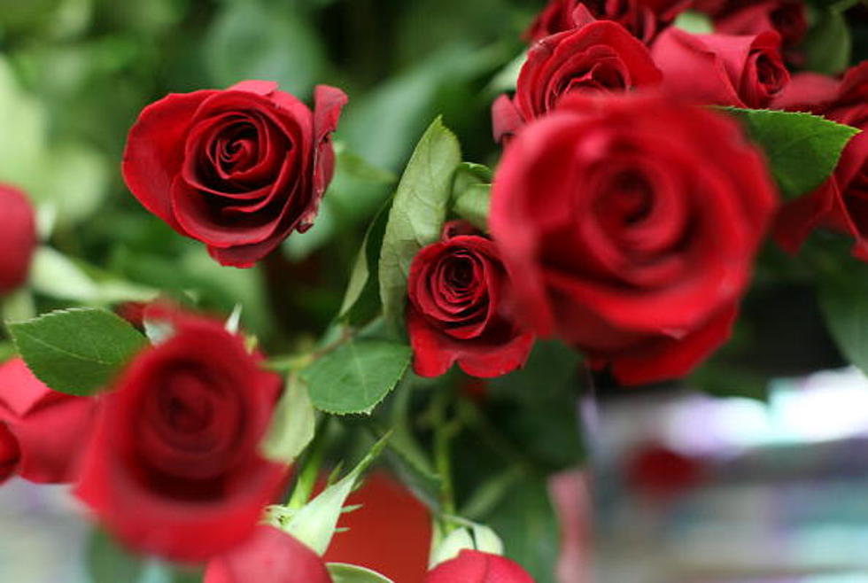 Valentine’s Day: What Different Rose Colors Mean