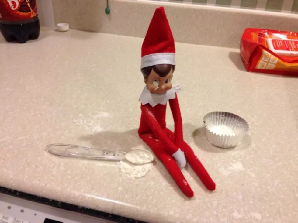 The Adventures Of Our Elf On A Shelf Fred