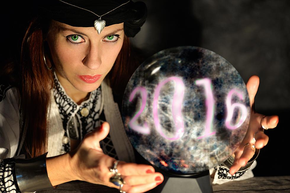 Michele's 2016 crystal ball