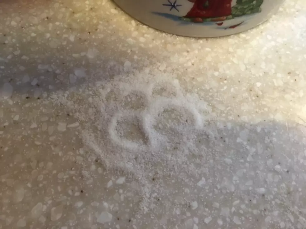 Are these your paw prints?