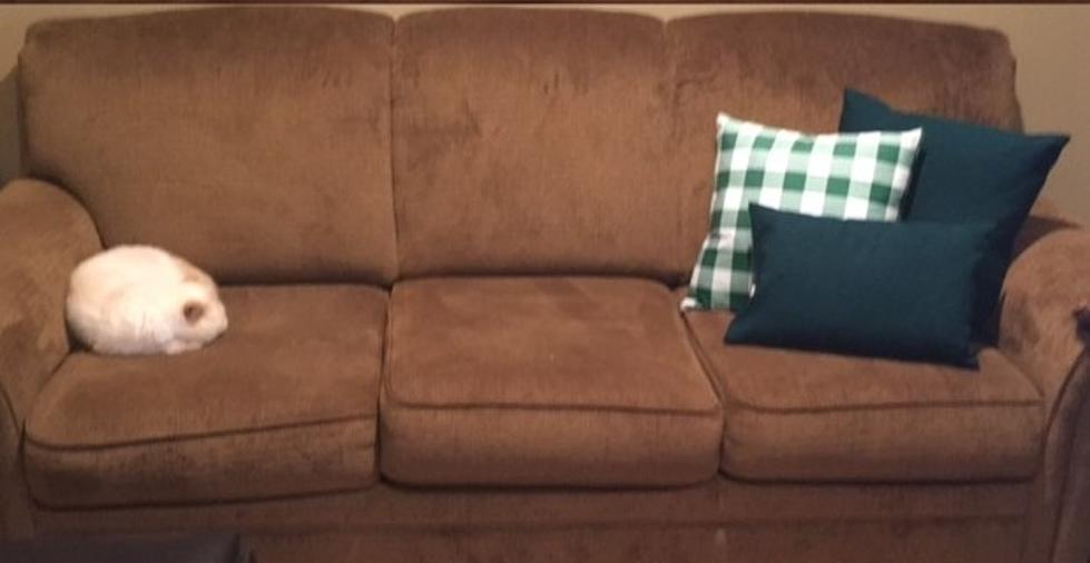 Does Moving the Pillows Make Them Look Any Better? Michele Wants to Know! [POLL]