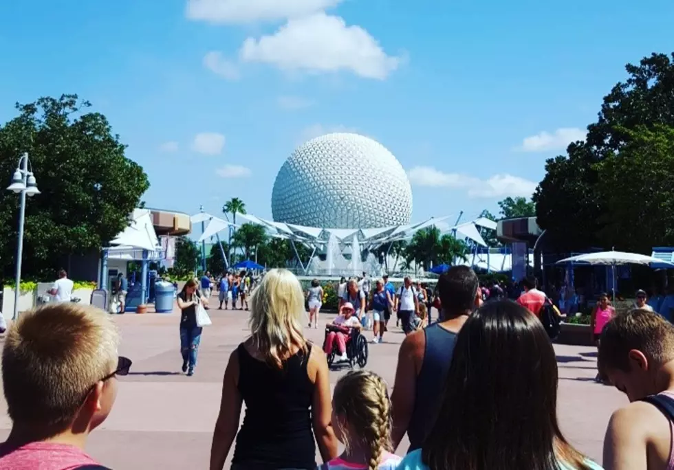 Disney World Has It All: Hot Weather, Long Lines, Crabby Kids &#8230; And Cockroaches [PHOTOS]