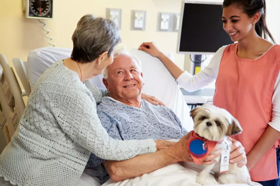 Pets In Hospitals: Just What the Doctor Ordered? [POLL]