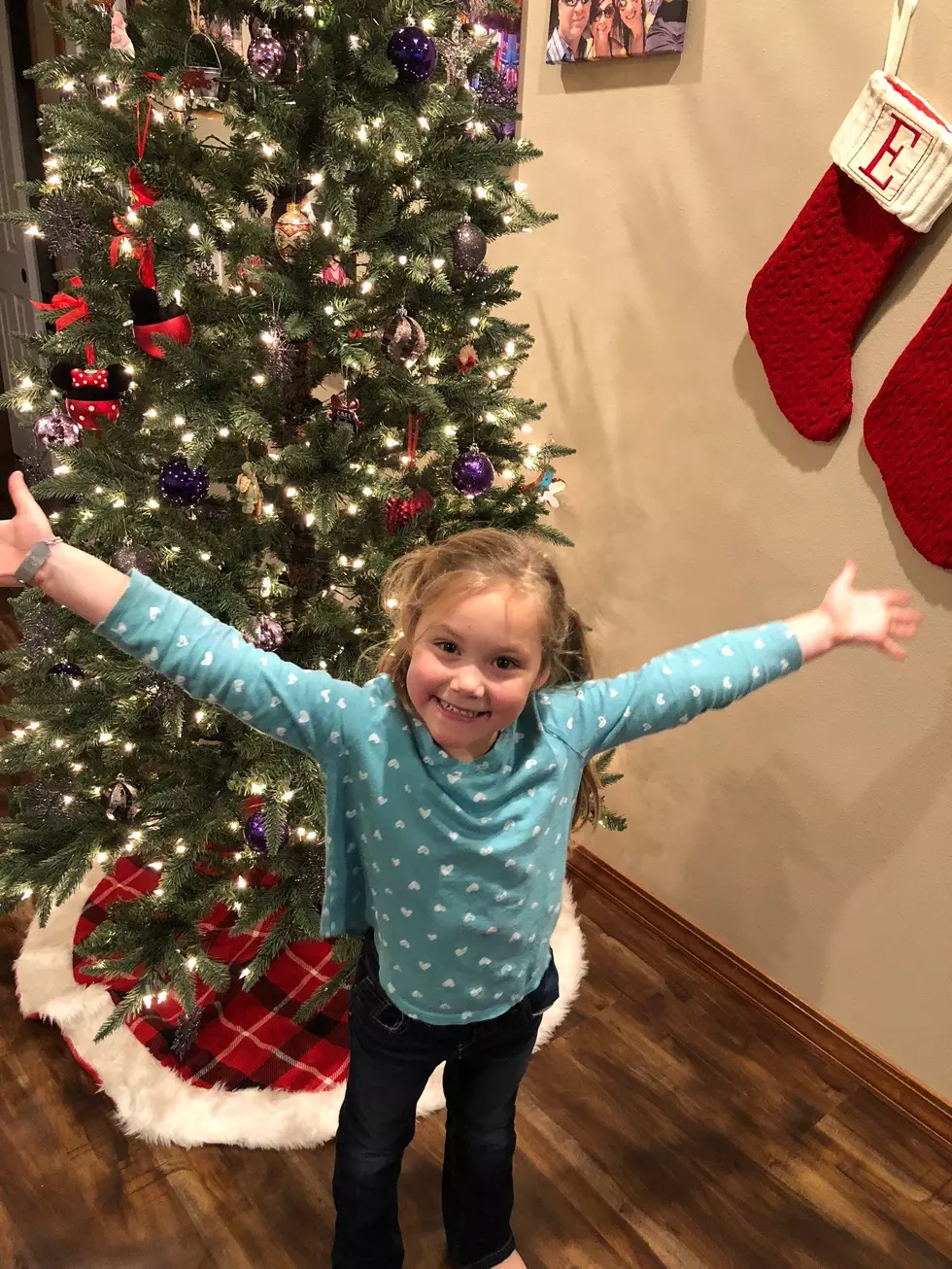 Seahawks, Super Moon & Christmas Tree: Gunner’s Weekend in Three Pics!