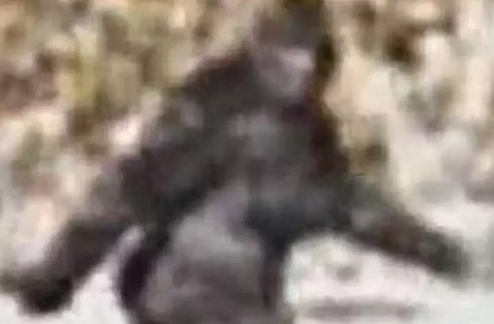 The First Bigfoot Footage Was Captured By Two Yakima Men!