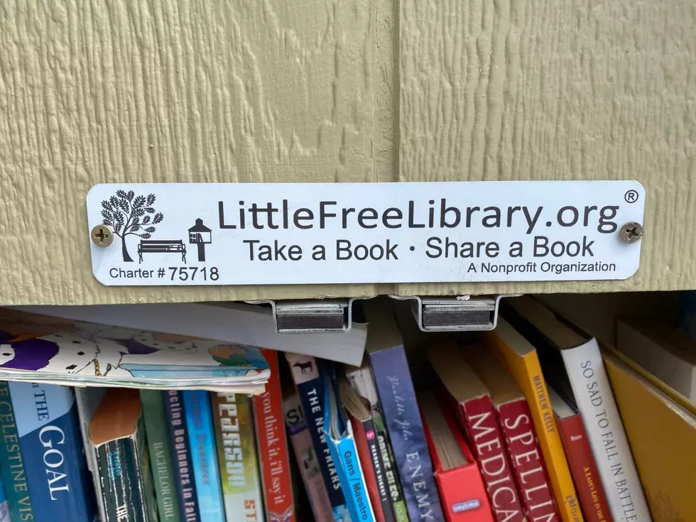 Another Thing That Makes Yakima Great? 'Little Free Libraries'!