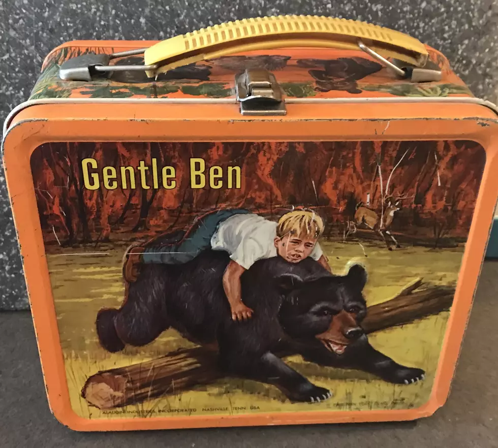 How Much is Your Vintage Collectible Lunchbox Worth? Amazing!