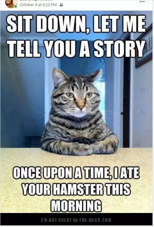 Bizarre Thought Provoking The Top Six Memes Of The Week Bizarre Thought Provoking The Top Six Memes Of The Week