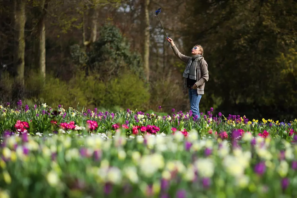 Spring Begins This Weekend! Clean-up, Yardwork, Take a Hike!