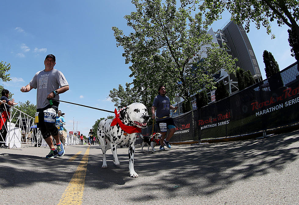 5K Fun Run to Benefit Humane Society on Saturday. How to Sign Up.