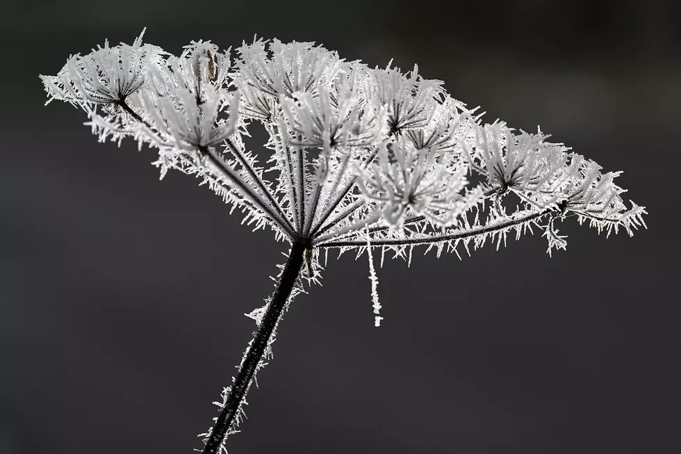 Yakima Weekend Weather: Snow? Rain? Cold? What You Need to Know