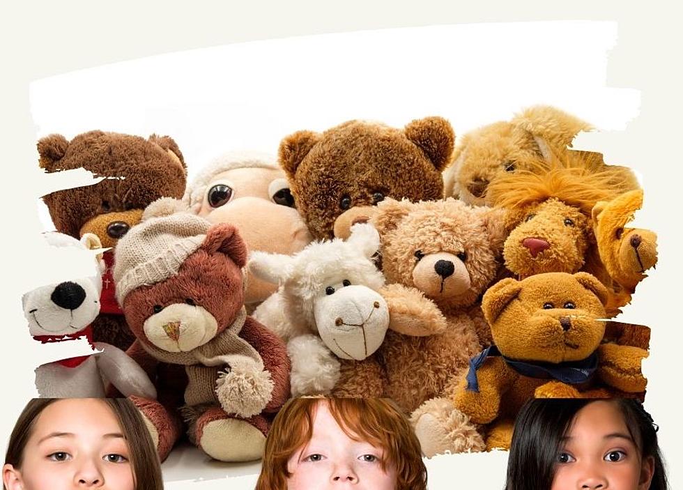 The Best Places to Donate Teddy Bears for Kids in Need Around Yakima