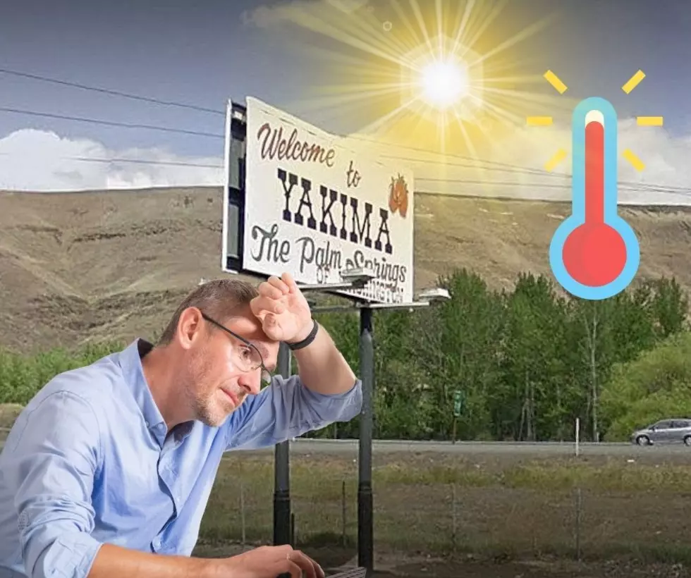 5 Things to Keep on Hand during the Yakima Heatwave