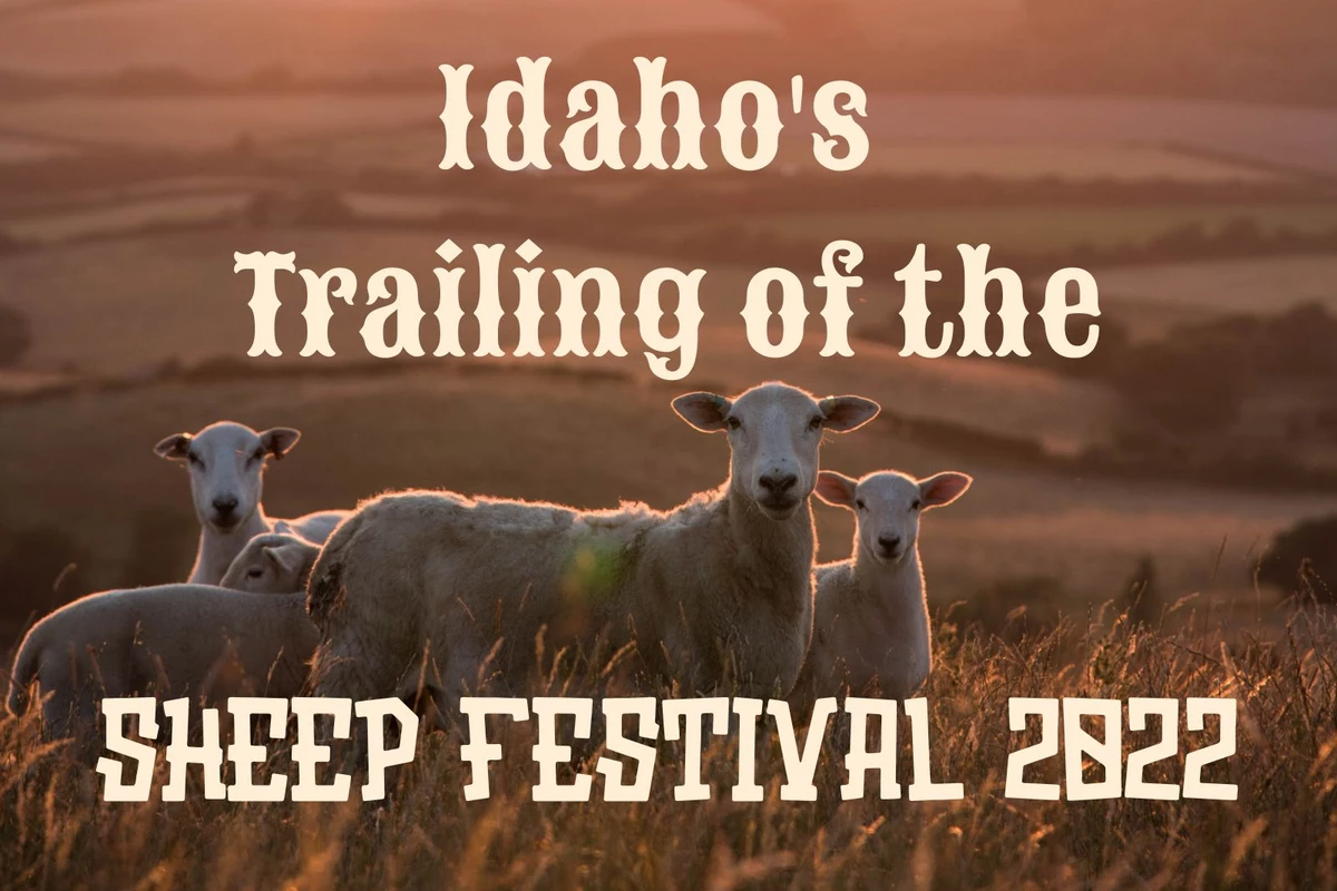 Idaho's Trailing of the Sheep Festival Is Ready for Sheep Thrills