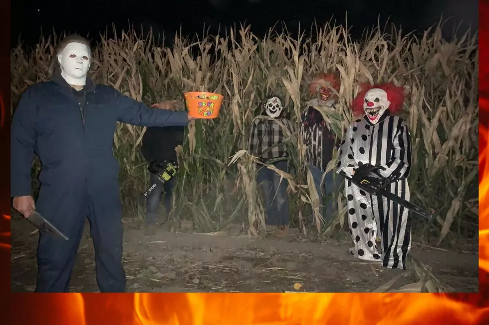 How Delightfully Frightful and Fun is Curfmans Massive Corn Maze?