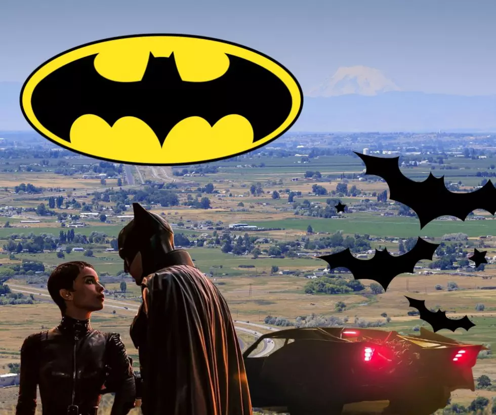 The Best Ways to Celebrate Batman Day in the Yakima Valley