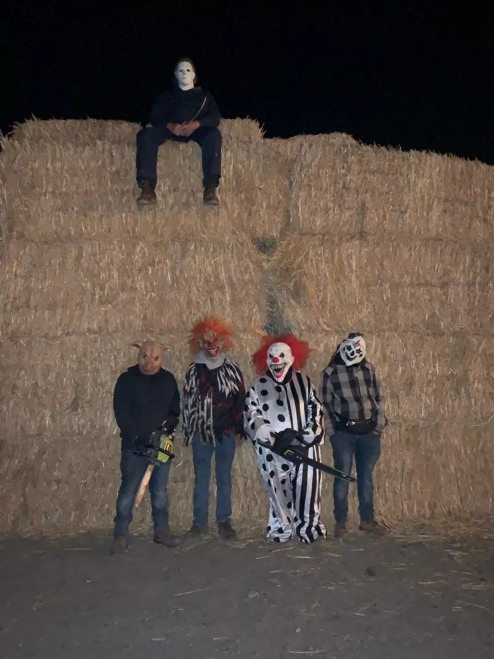 curfman's massive corn maze