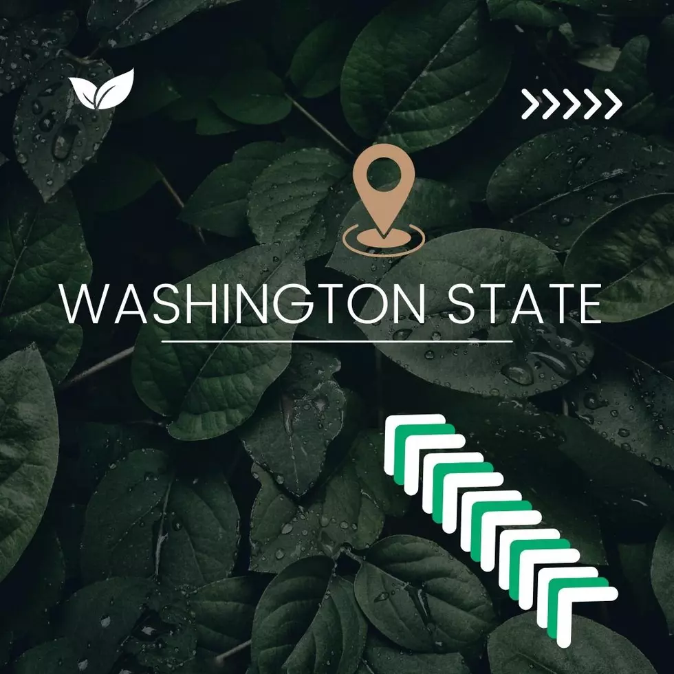 9 Ways to Say You’re From Washington State Without Saying It