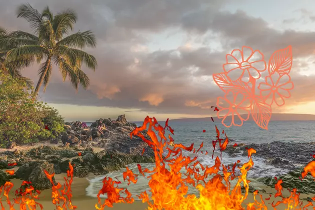 Did You Hear Hawai&#8217;i Volcano Mauna Loa Just Erupted? How Bad Is It?