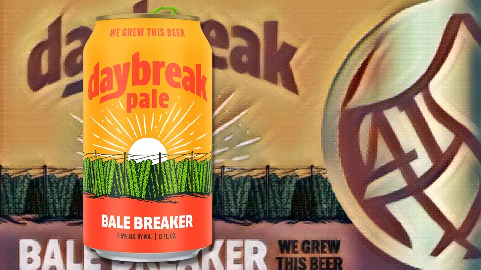 Something New from Bale Breaker Brings the Magic with Daybreak Pale