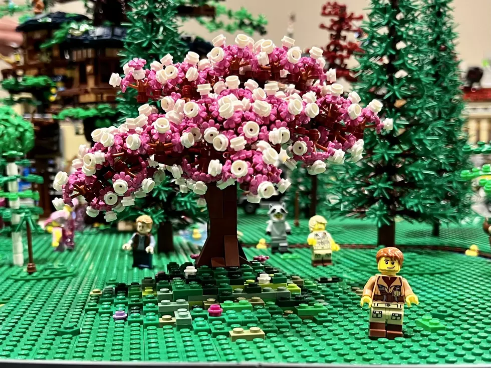 Bricks Cascade™ Legos Fair