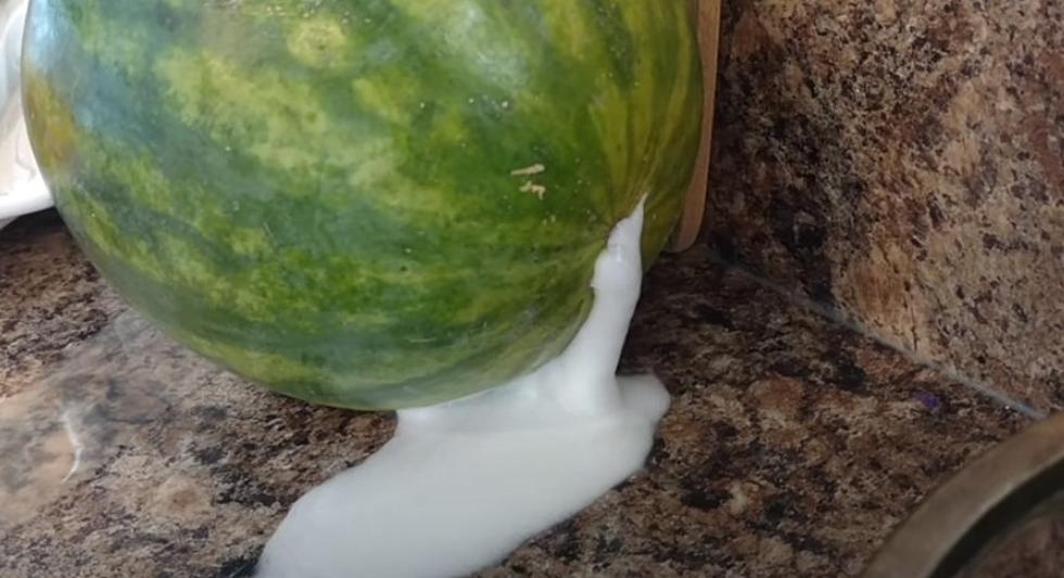 If Your Watermelon from WA is Foaming, Be Extra, Extra Careful