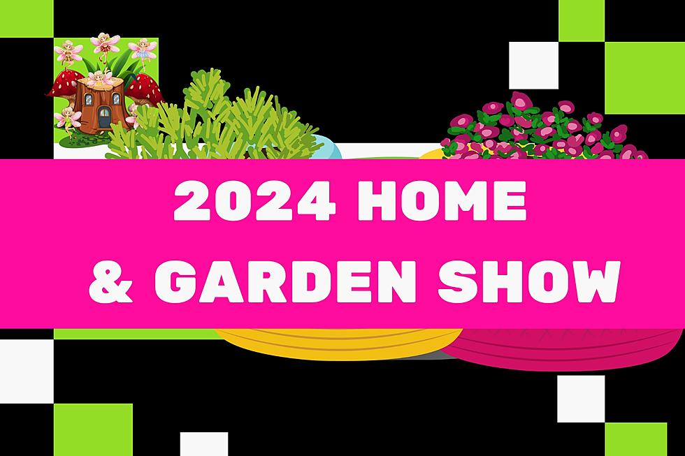 Top 10 Reasons Not to Miss the CWHBA Home & Garden Show This Year