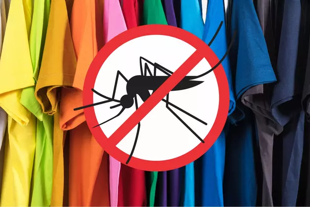 Optimizing Your Wardrobe To Ward Off Mosquitoes In Washington State
